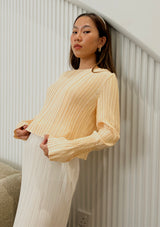 Delia Beige Pleated Crop Top